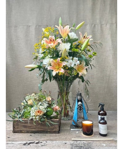 María nos guía | Conjunto Medium