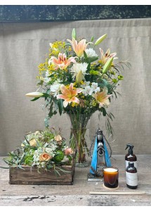 Maria guides us | Premium set