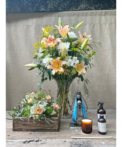 Maria nos guia | Conjunto Premium