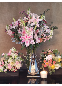 Refugio de María | Conjunto premium