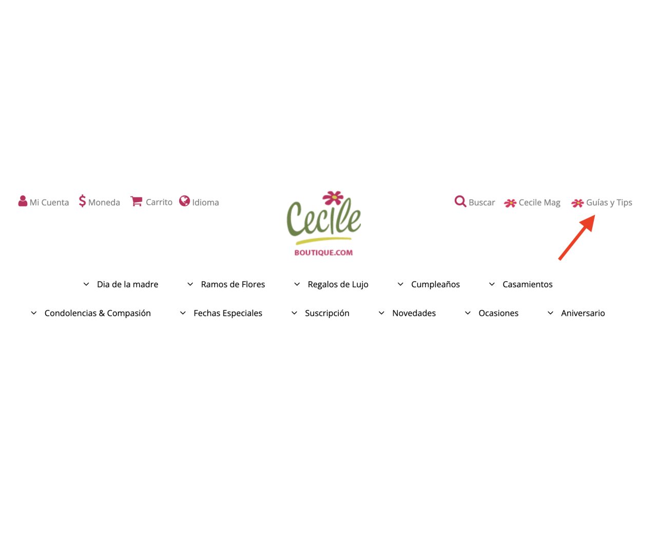 Guías y Tips — Cómo agregar nuevos ítems en el header