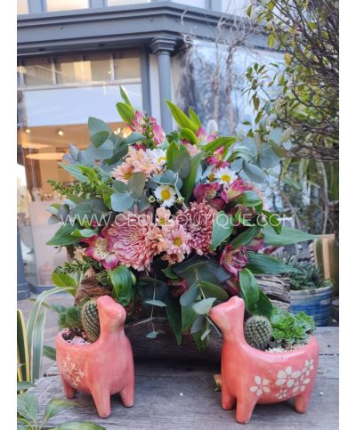 Ternura carmesí|Ramo bouquet & jardín