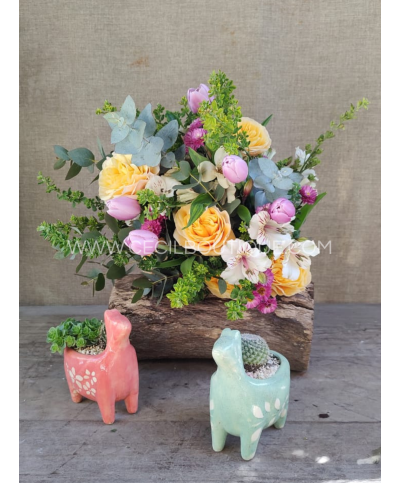 Luz en colores|Ramo bouquet & jardín