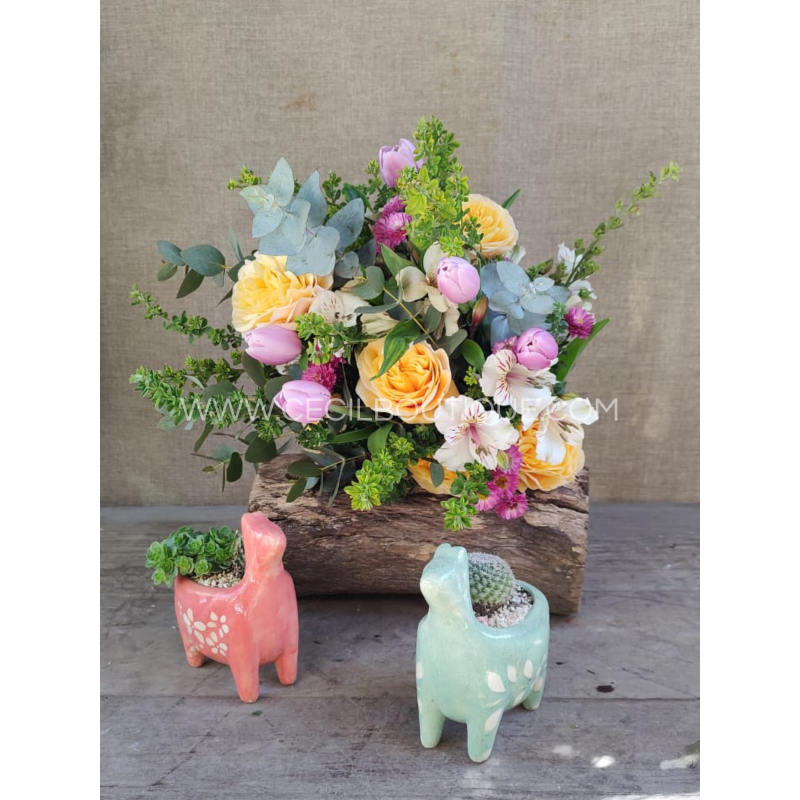 Luz en colores|Ramo bouquet & jardín