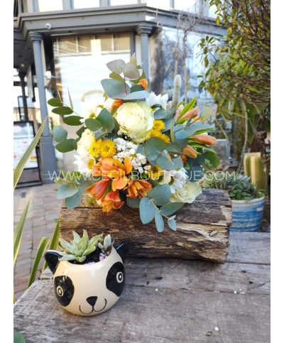 Día mágico |  Bouquet & jardin de suculentas