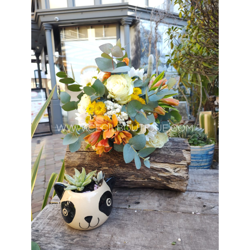 Día mágico |  Bouquet & jardin de suculentas