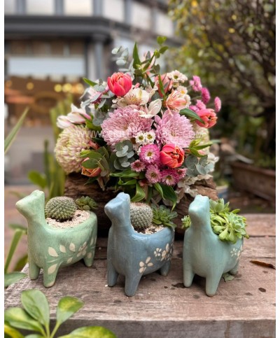 Inocencia | Ramo de flores más tres jardines