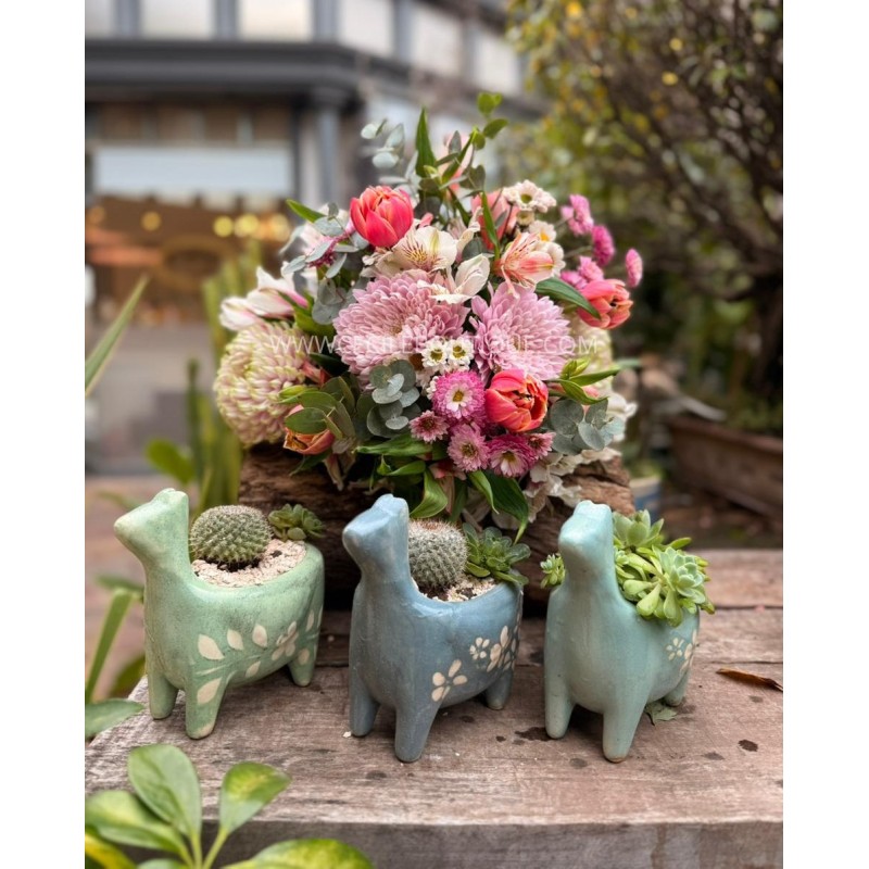 Inocencia | Ramo de flores más tres jardines