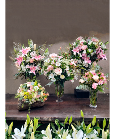 Super primavera casa|Conjunto premium