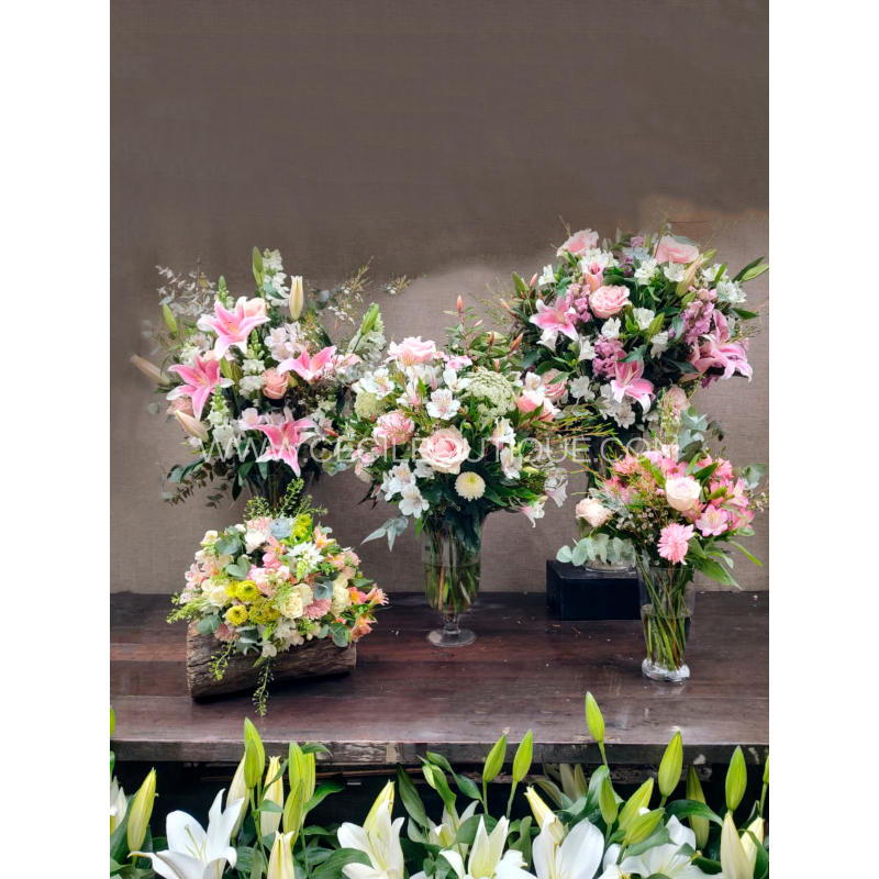 Super primavera casa|Conjunto premium