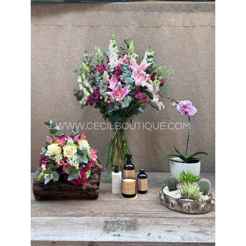 A tu lado|Conujunto con Orquídea, Box perfumado & jardín A tu lado|Conujunto con Orquídea, Box perfumado & jardín