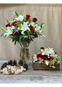 Que tu Navidad brille | Conjunto Medium