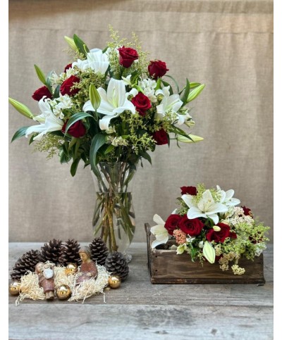 Que tu Navidad brille | Conjunto Medium