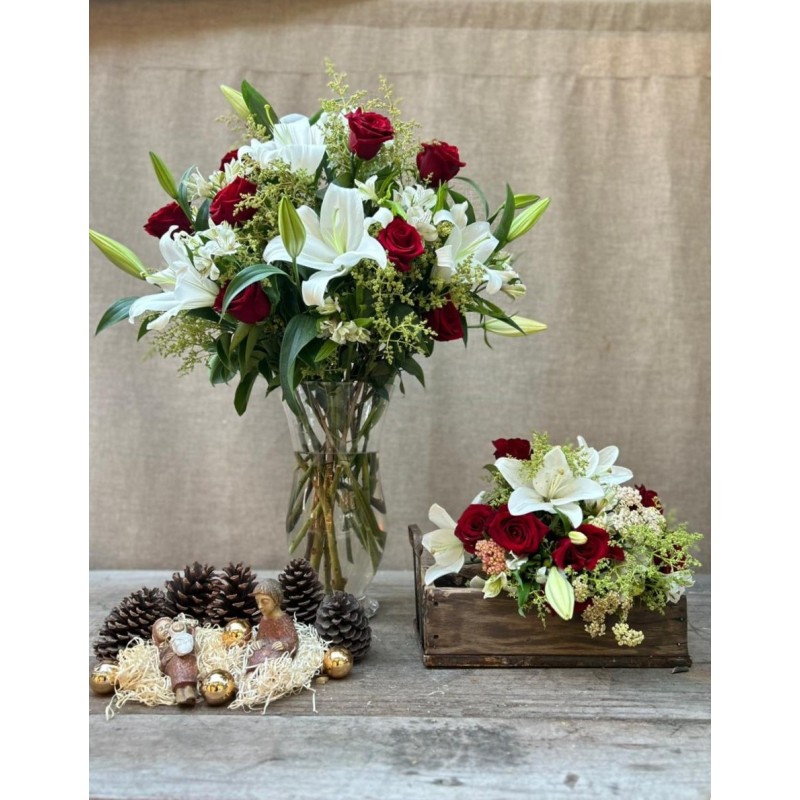 Que tu Navidad brille | Conjunto Medium