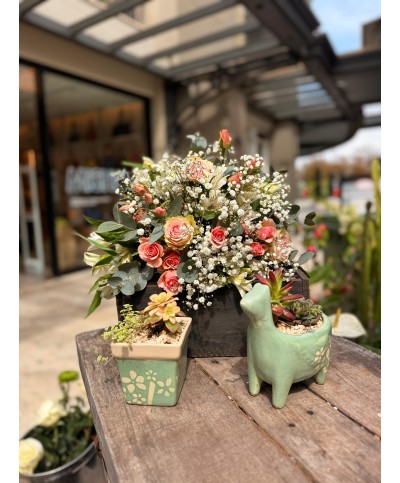 Encanto de mama |bouquet y jardines