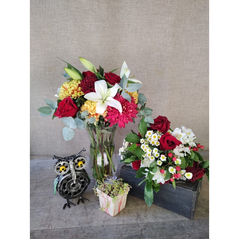 Love Under the Sun | Floral Set