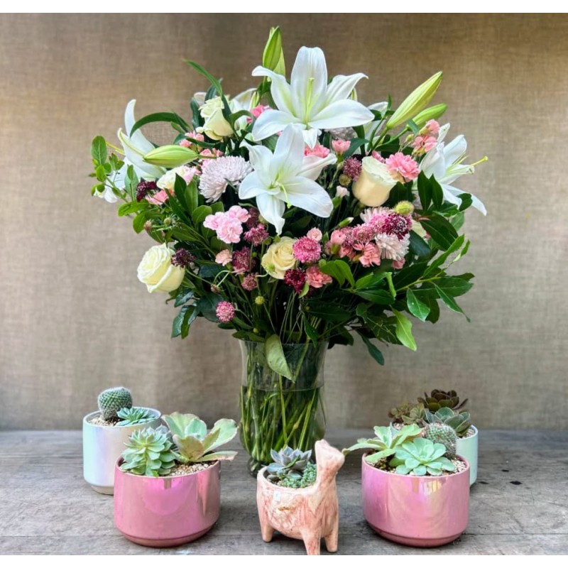 Horizonte Rosa | Ramo de flores & Jardines