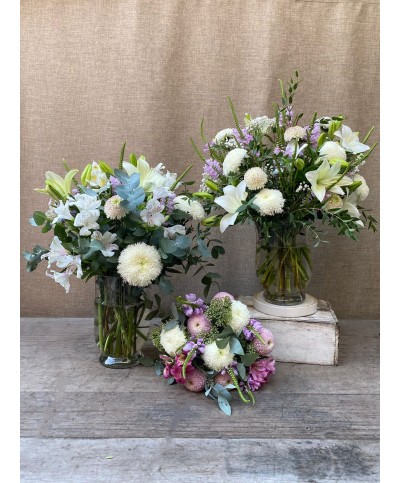 Memoria Viva | Conjunto de condolencias