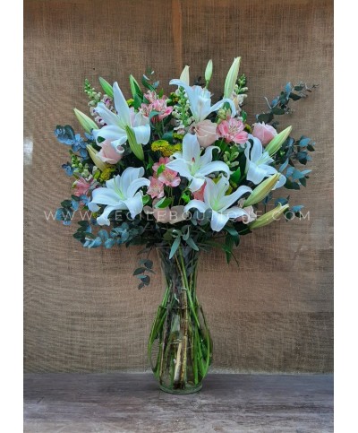 Paloma | Ramo de Condolencias & Compasión