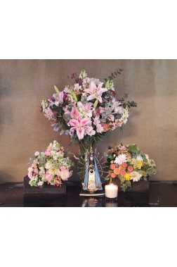 Refugio de María|Super Conjunto