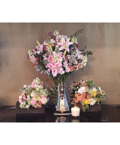 Refugio de María|Super Conjunto Refugio de María|Super Conjunto