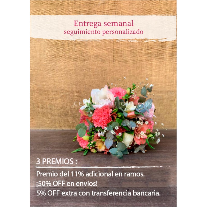 Suscripción Mensual Suscripción Mensual