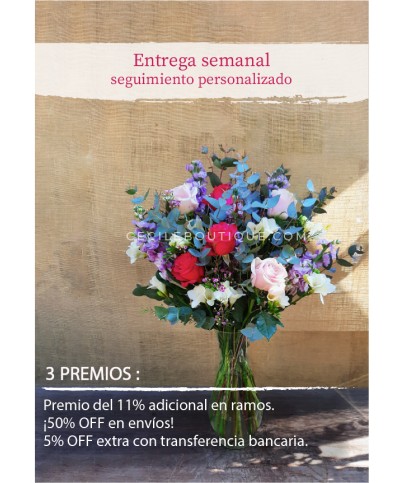 Suscripción Mensual