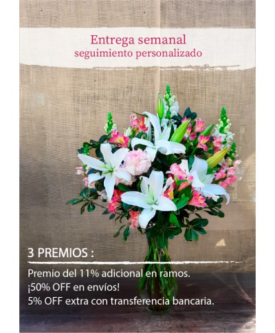 Monthly Subscription