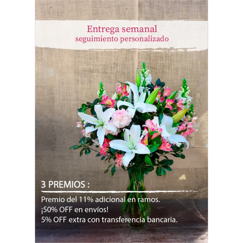 Suscripción Mensual Suscripción Mensual