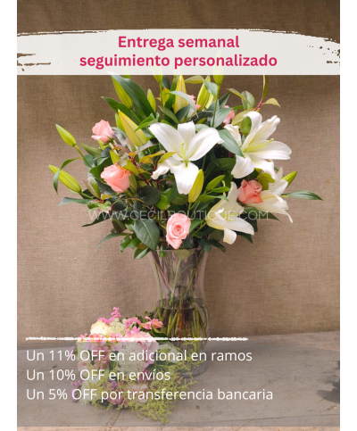 Suscripción Mensual