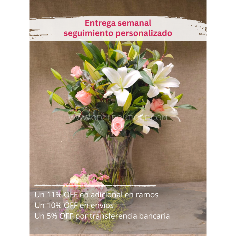 Suscripción Mensual