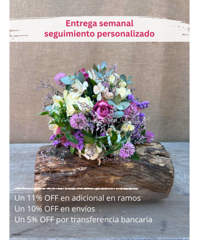 Suscripción Mensual