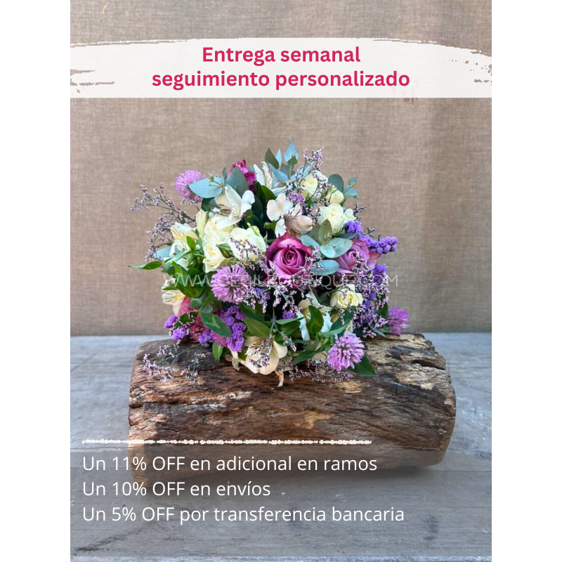 Suscripción Mensual