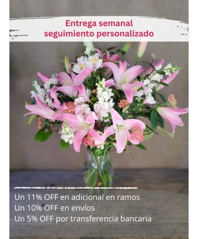 Suscripción Mensual