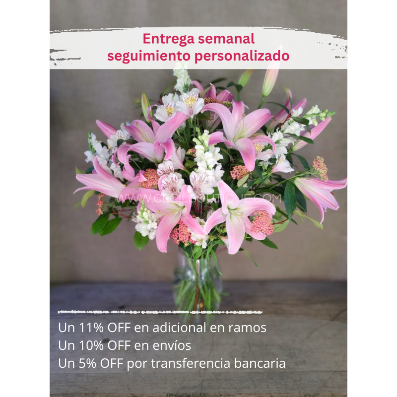 Suscripción Mensual