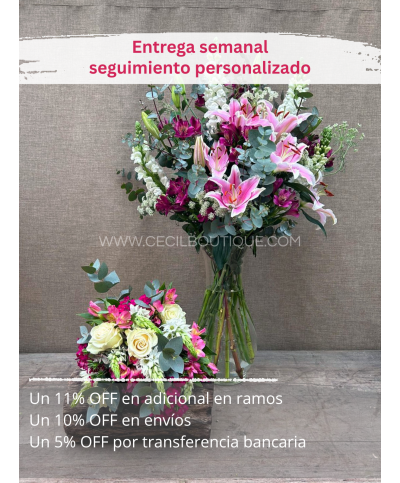 Suscripción Mensual