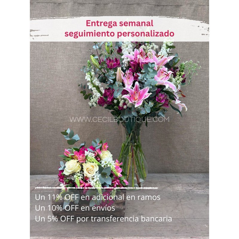 Suscripción Mensual