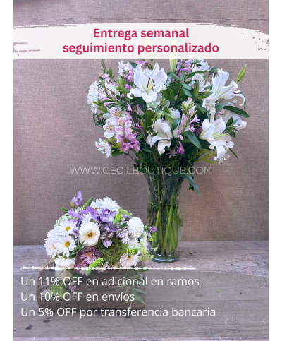 Suscripción Mensual