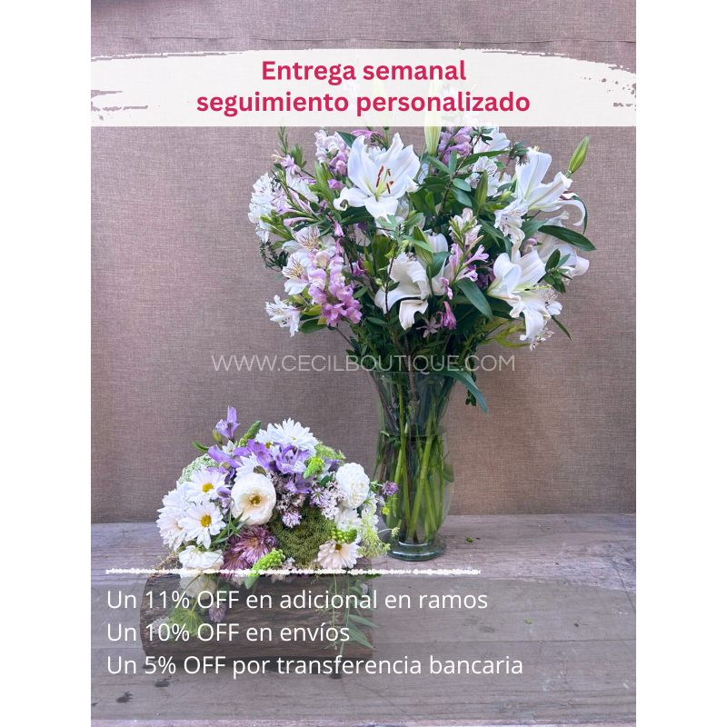 Suscripción Mensual