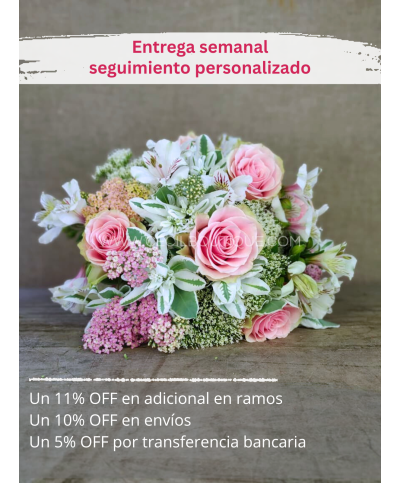 Suscripción Mensual