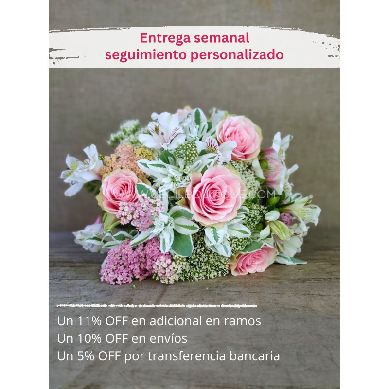 Suscripción Mensual