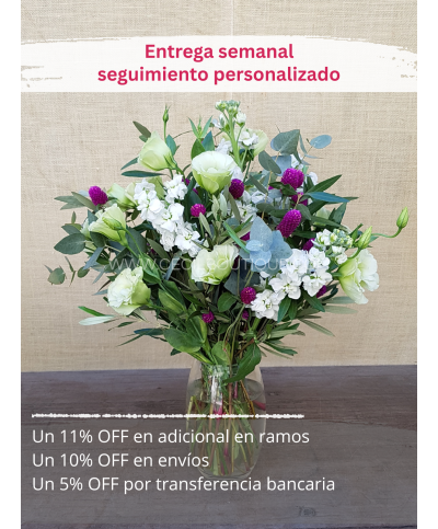 Suscripción Mensual