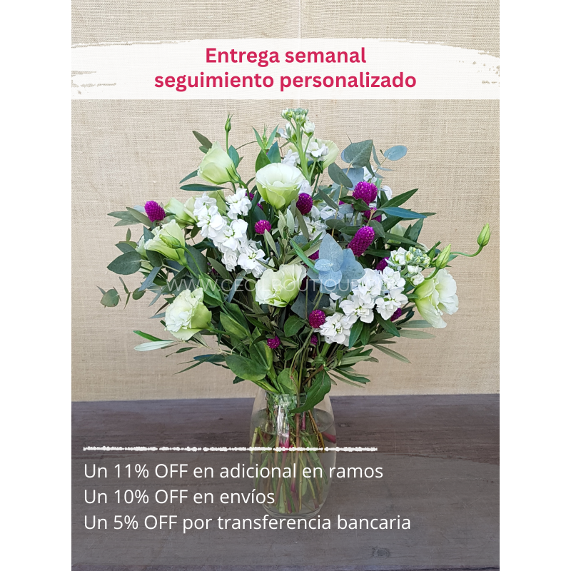 Suscripción Mensual