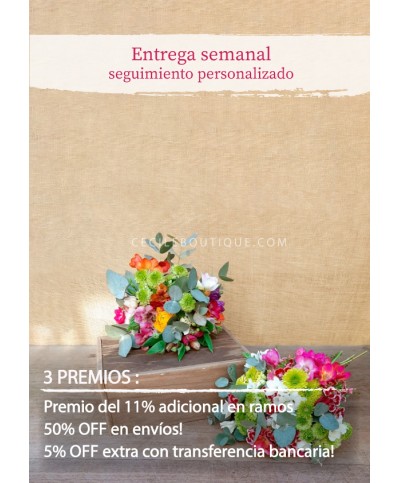 Suscripción Mensual