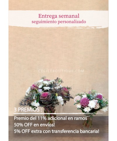 Suscripción Mensual