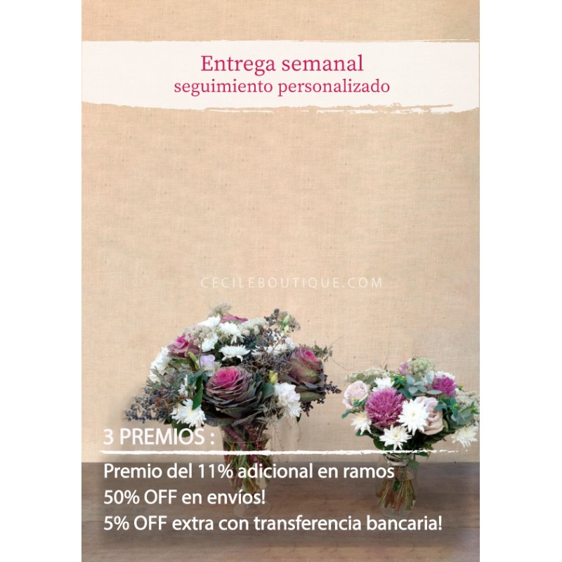 Suscripción Mensual Suscripción Mensual