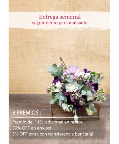 Monthly Subscription