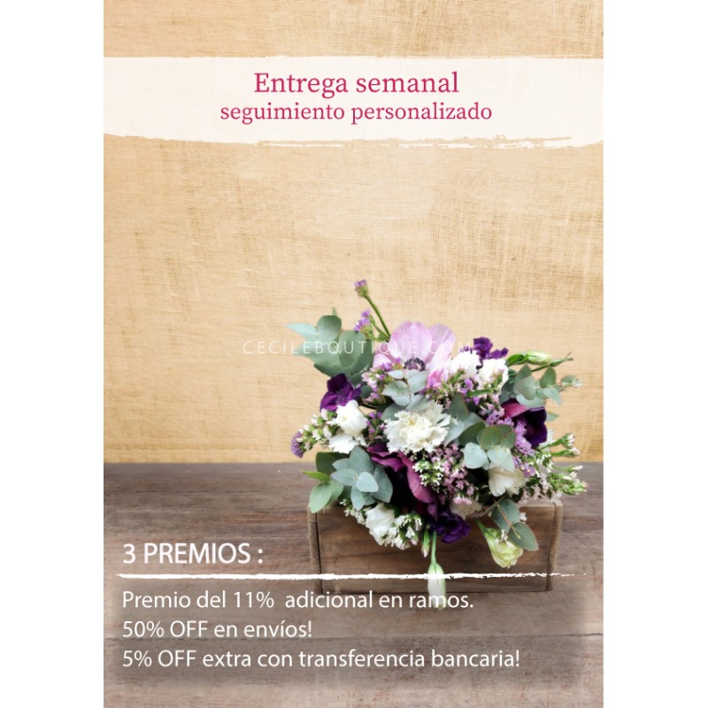 Suscripción Mensual Suscripción Mensual