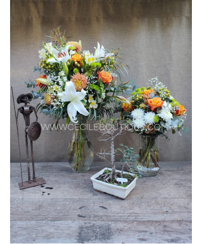 Unidos |Conjunto de ramos com escultura e bonsai