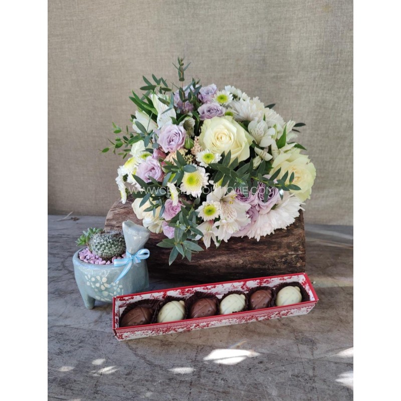 Viento patrio | Set de regalo con chocolates